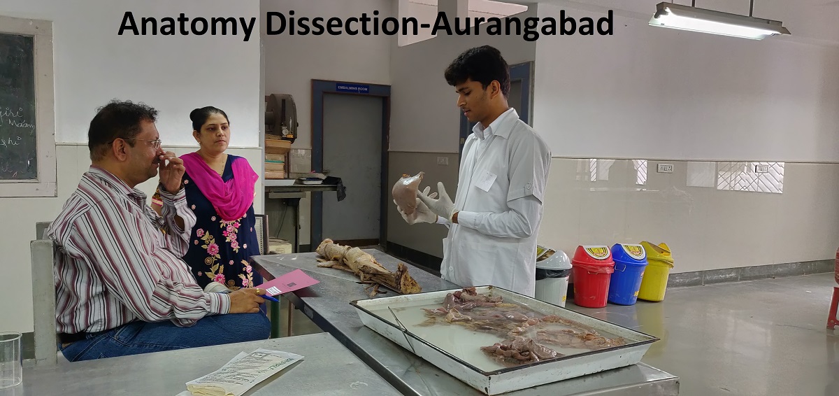Anatomy Dissection-Aurangabad
